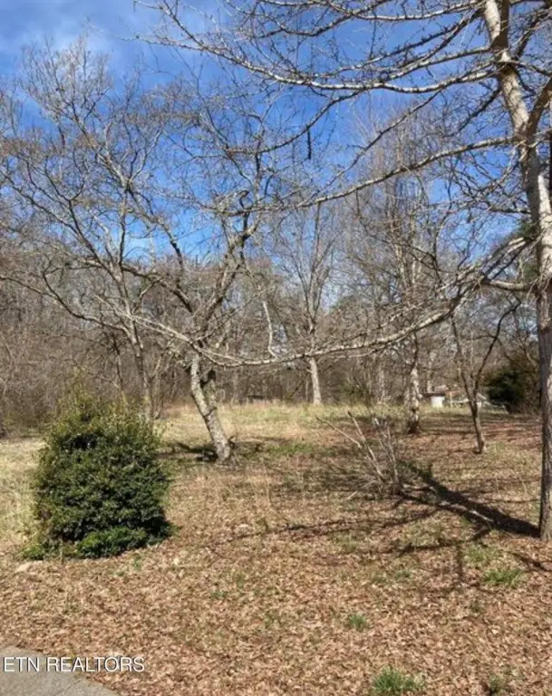 Picture 8