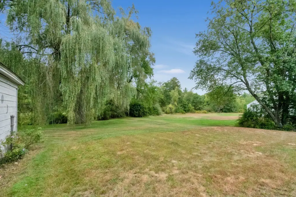 Picture 9