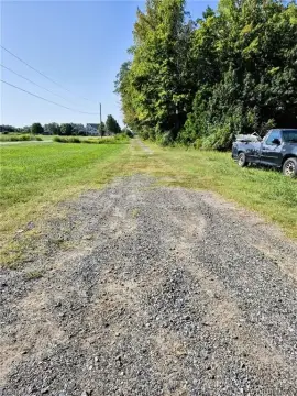 Cleared Agricultural Land