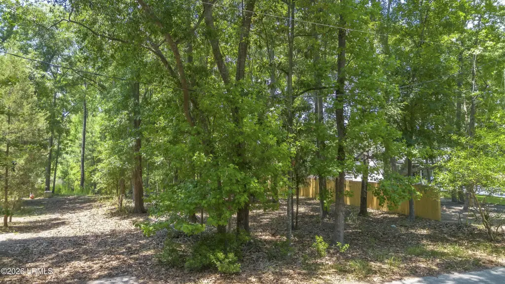 Picture 14