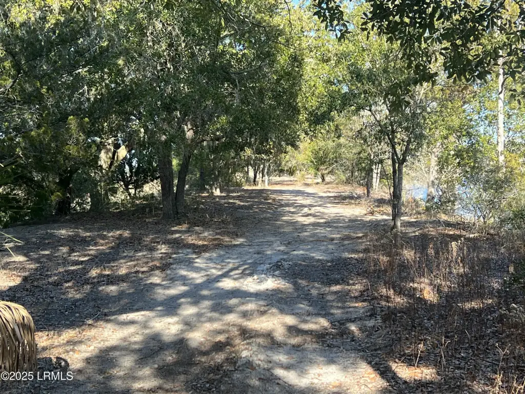 Picture 21