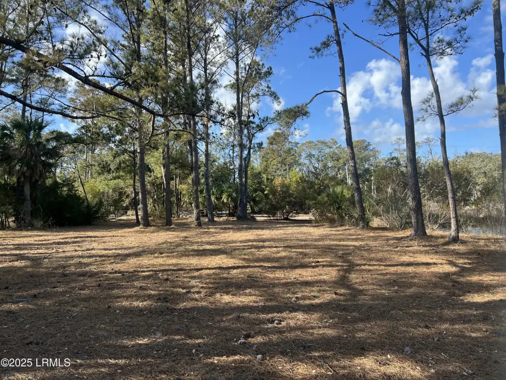 Picture 25