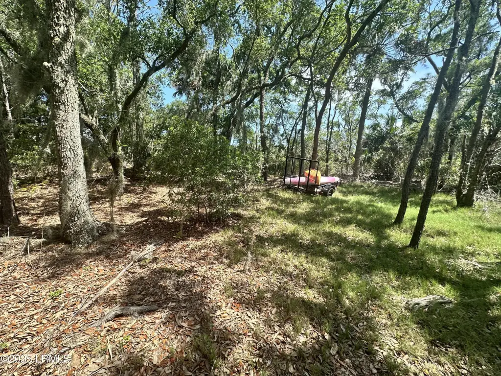 Picture 15