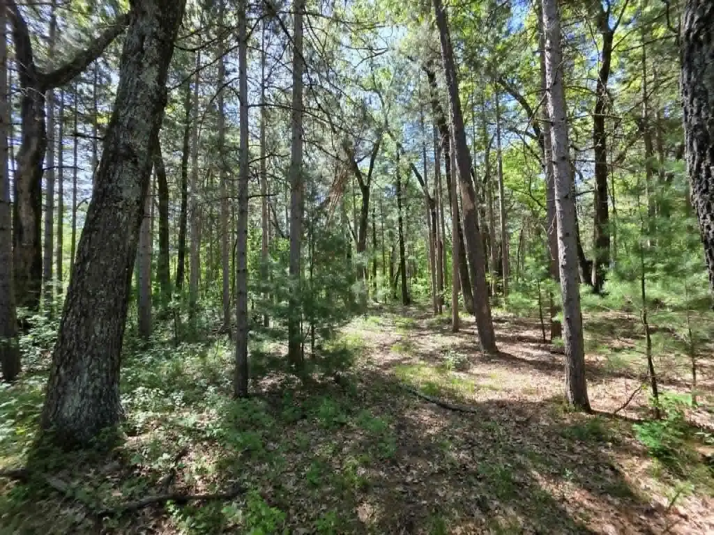 Picture 7