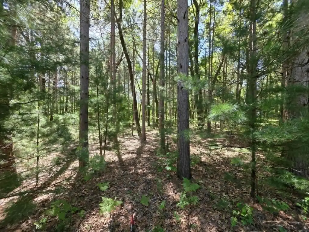 Picture 6