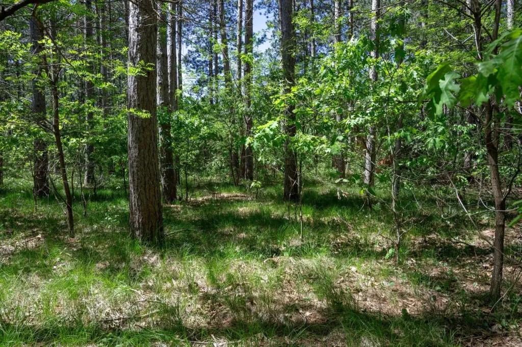 Picture 7