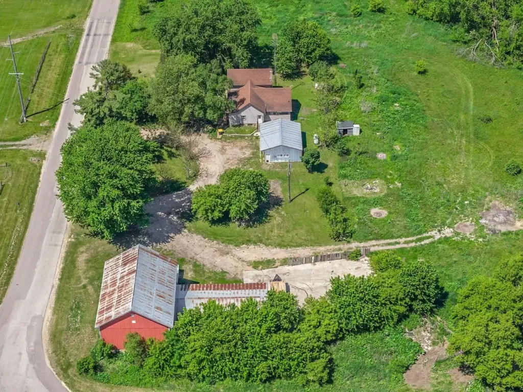 Picture 7