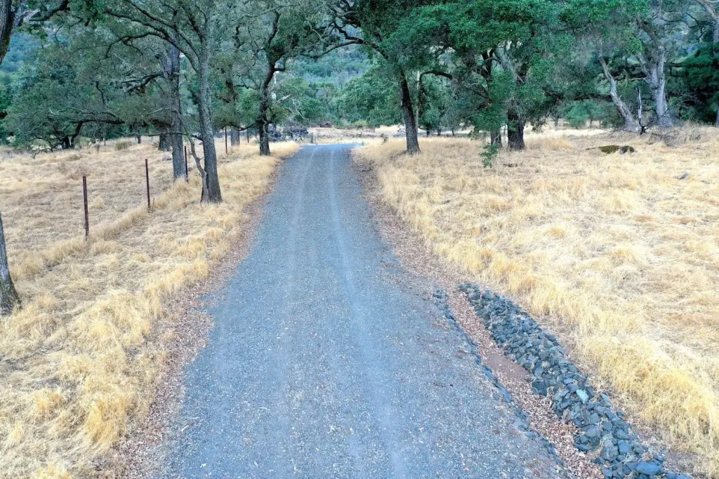 Picture 33