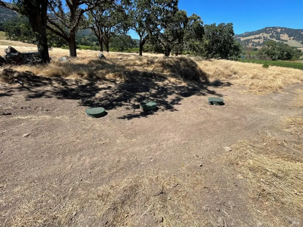Picture 24