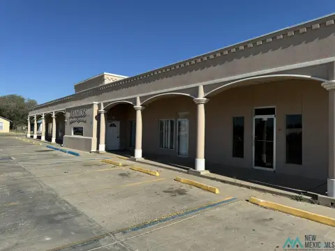 Portales Retail Shopping Center For Sale