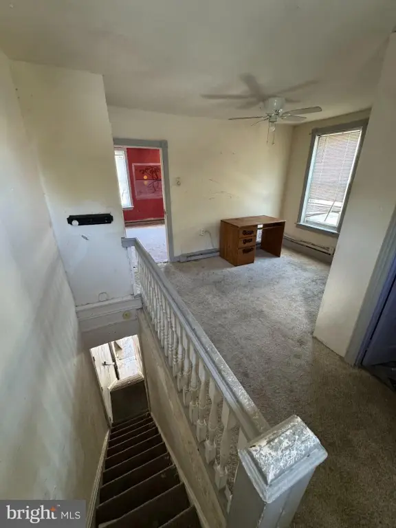 Picture 15