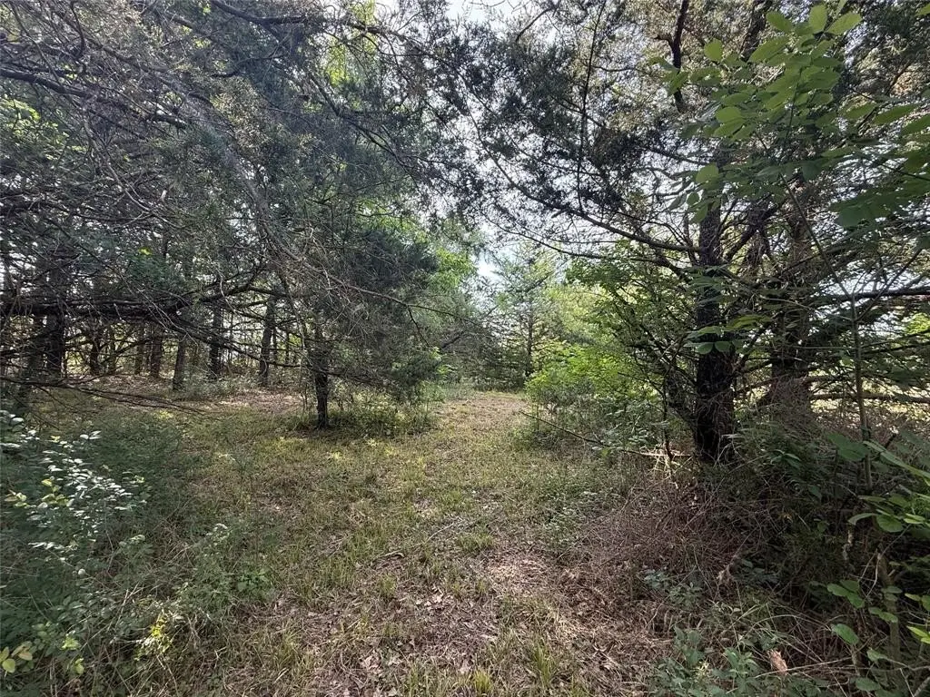 Picture 3