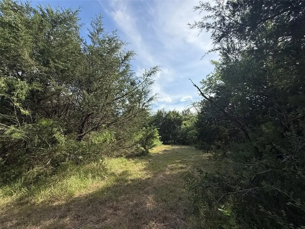 Picture 26