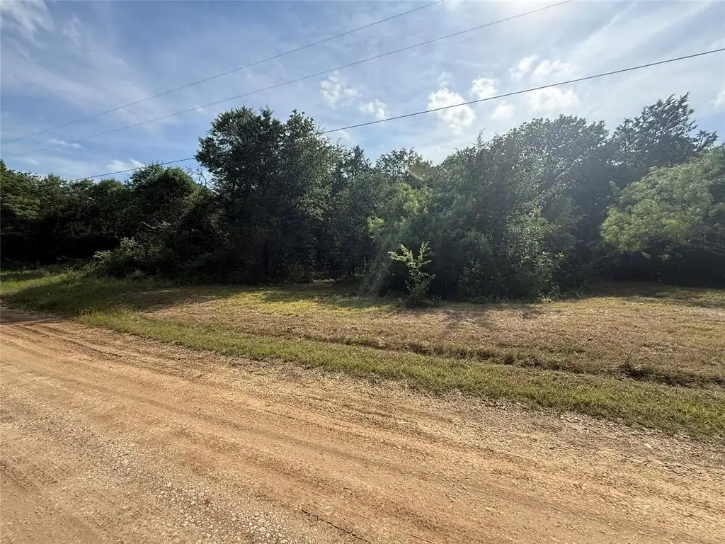 Picture 19
