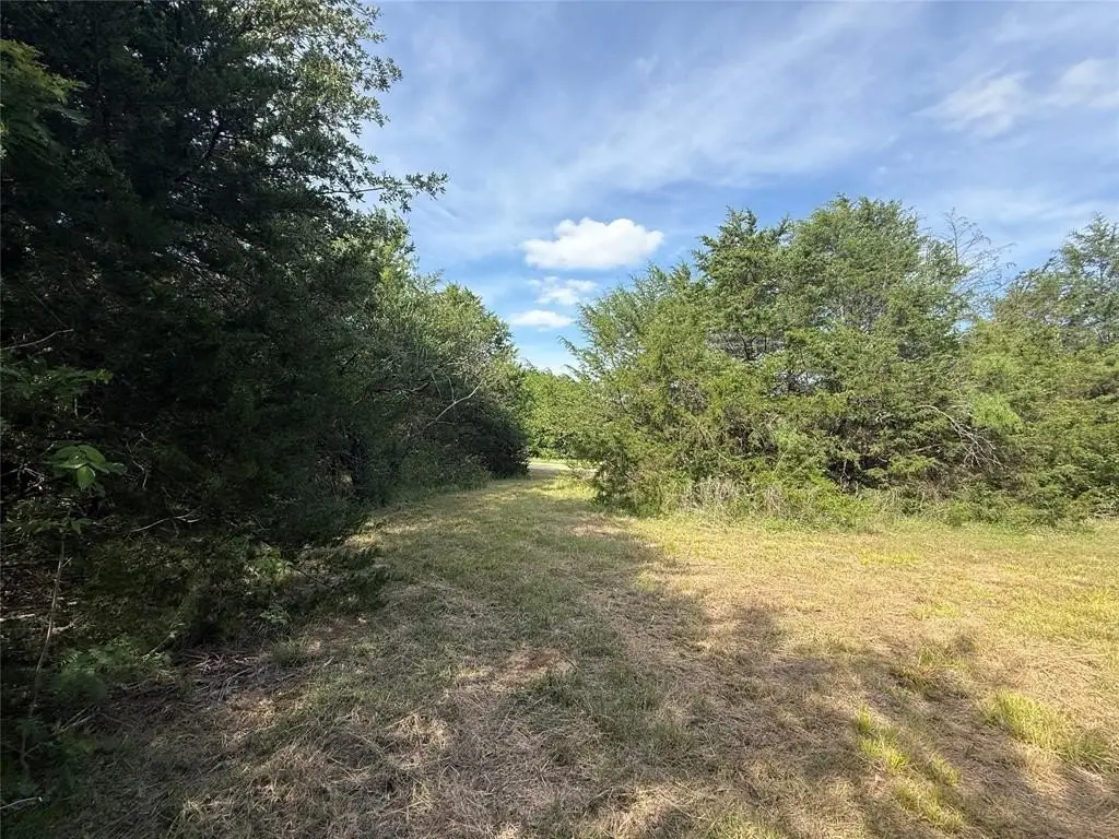 Picture 27