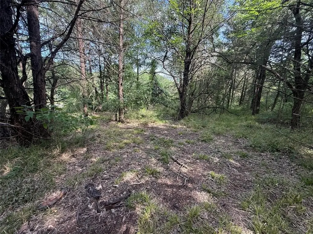 Picture 17
