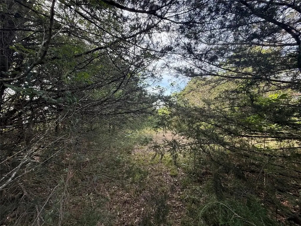 Picture 21