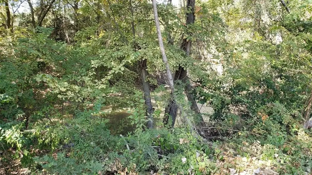 Picture 9