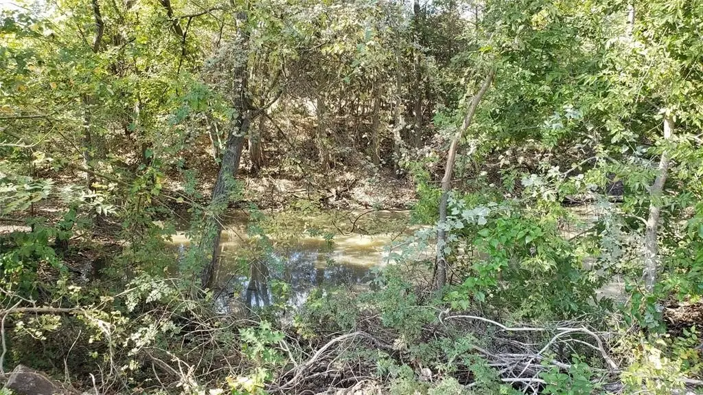 Picture 10
