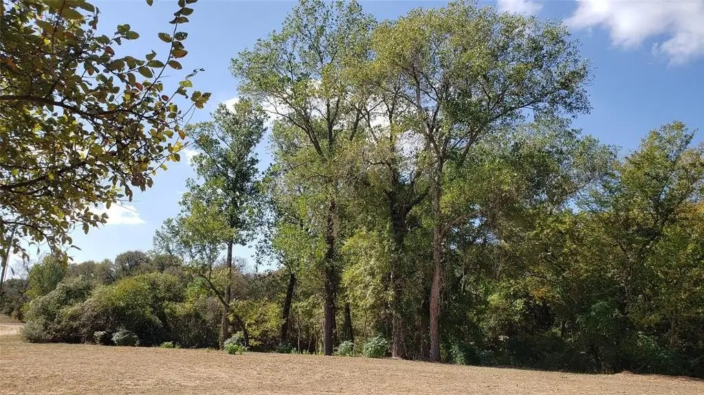 Picture 16