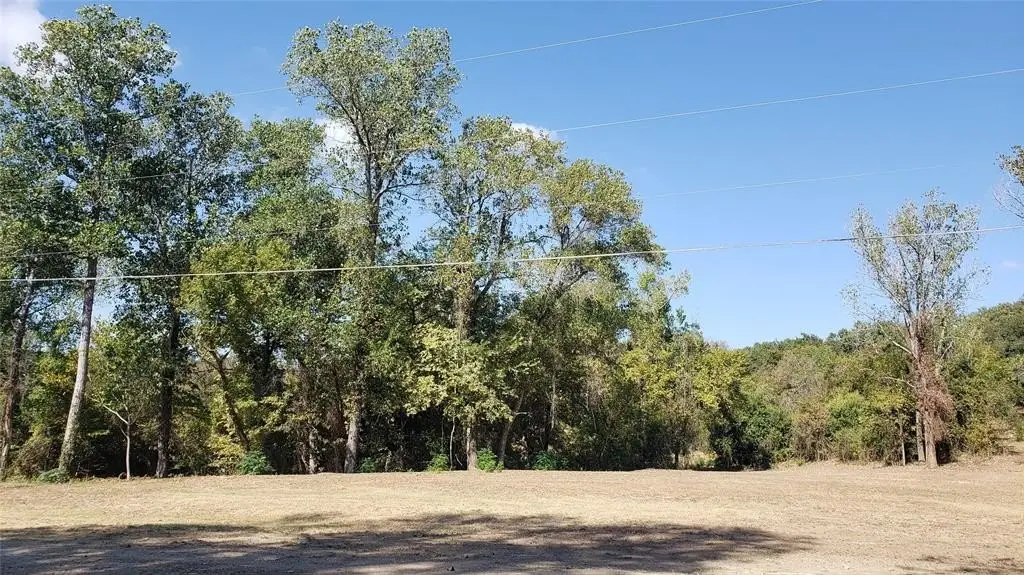 Picture 3