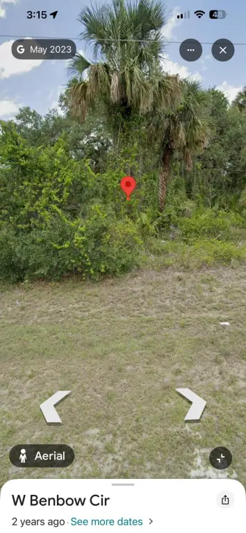 Picture 4