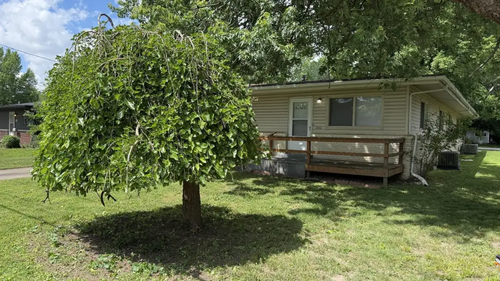 Picture 31
