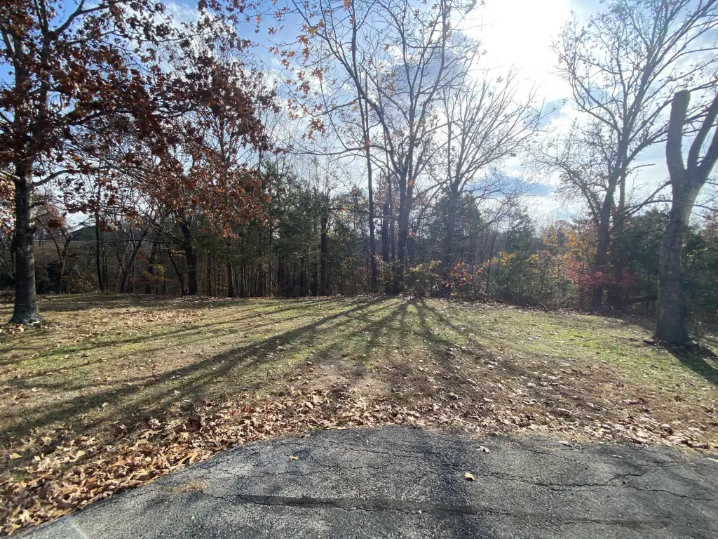 Picture 3