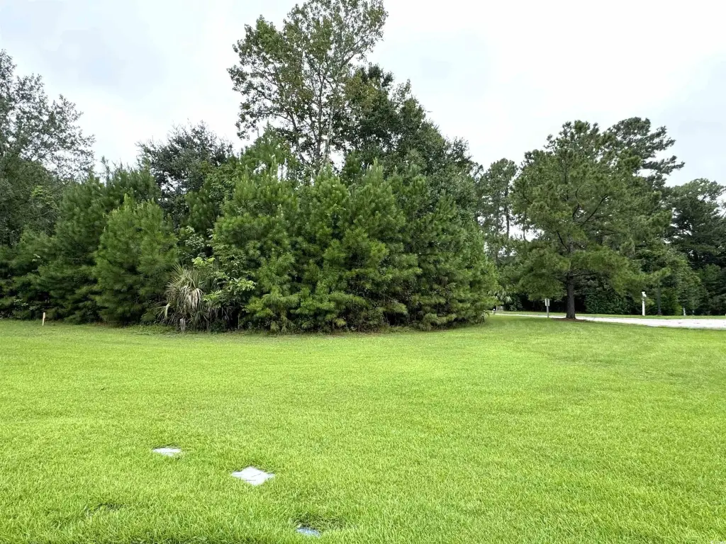 Picture 20