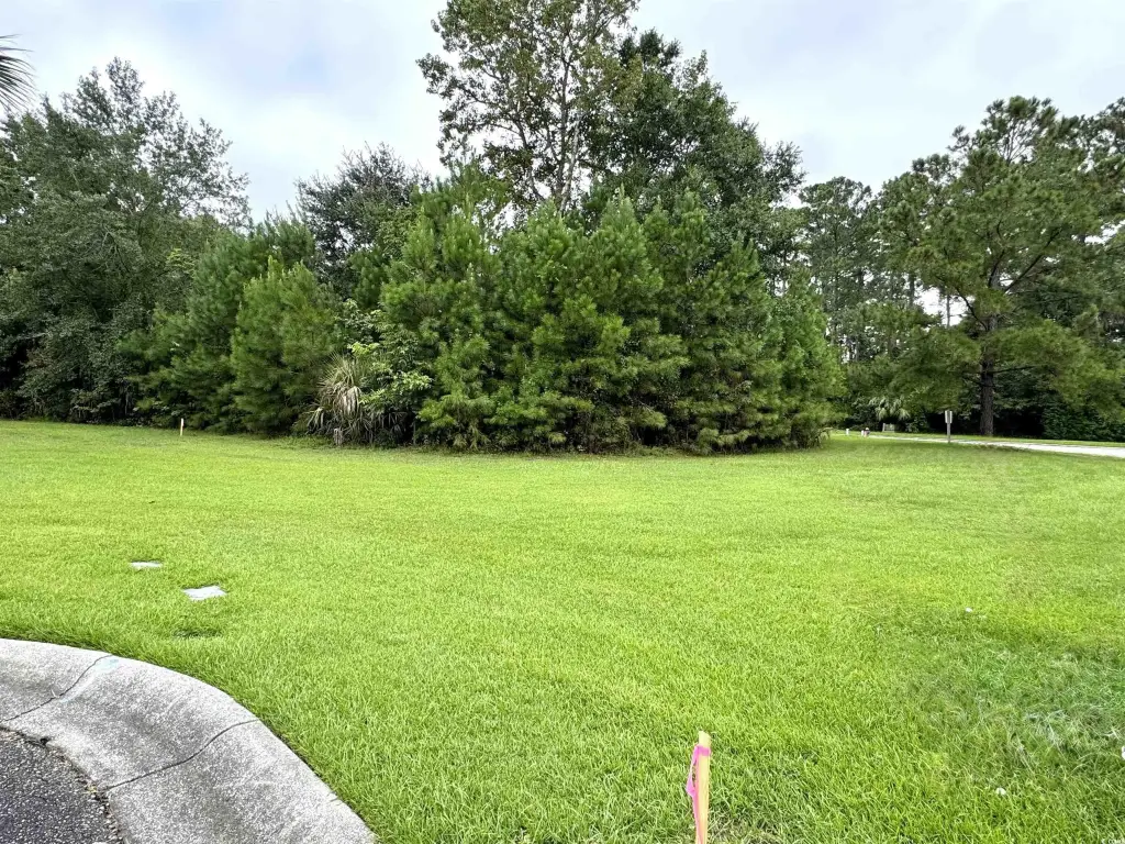 Picture 19