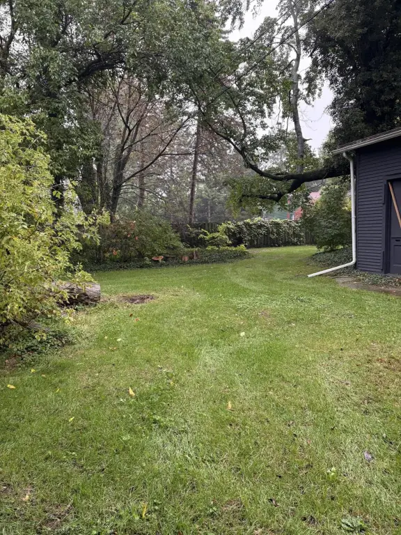 Picture 36