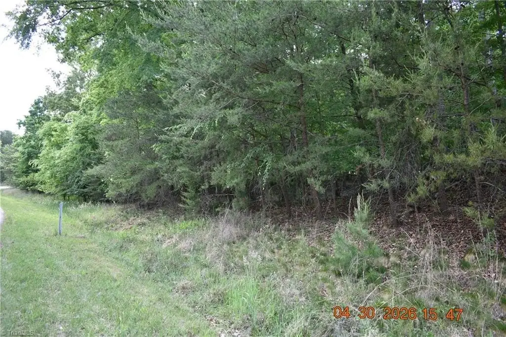 Picture 7