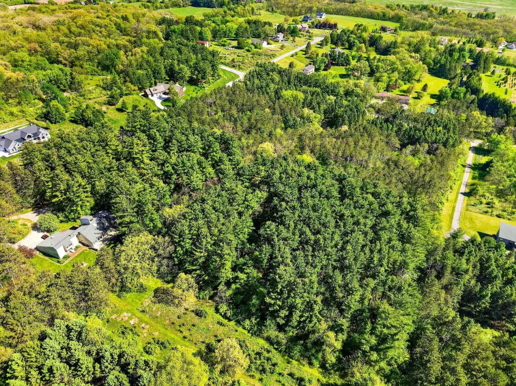 Picture 13