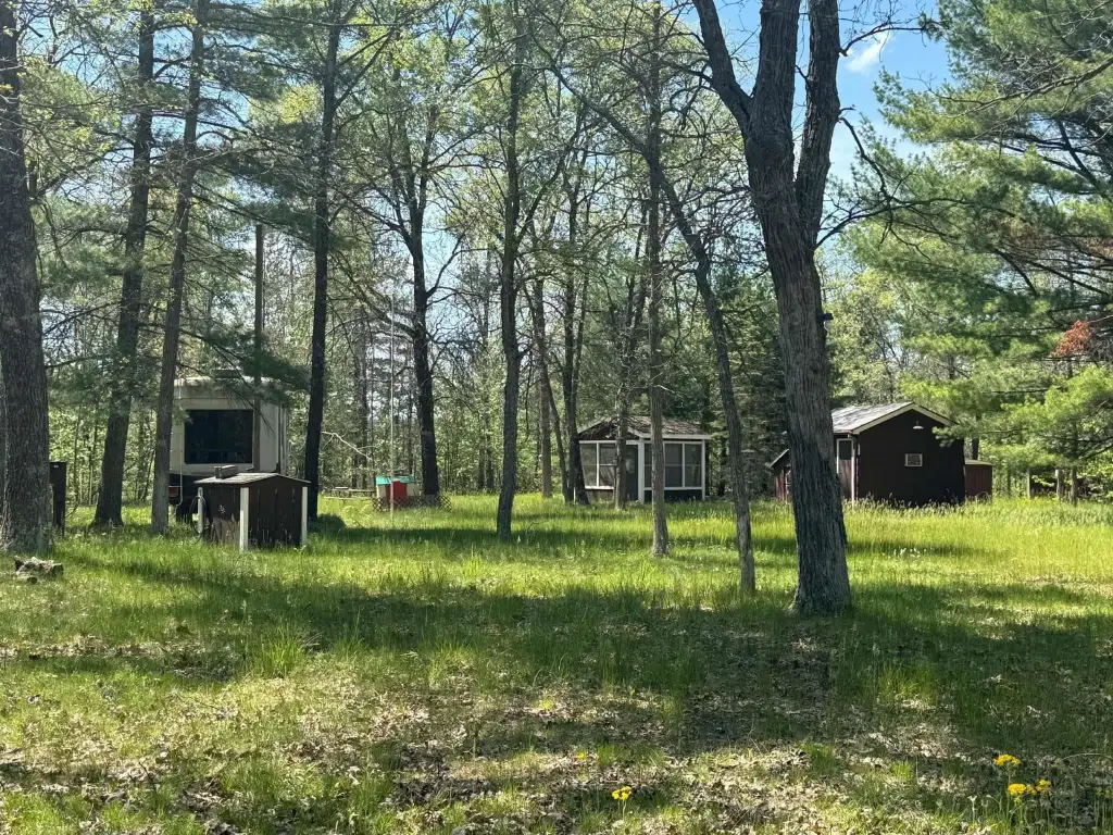 Picture 18