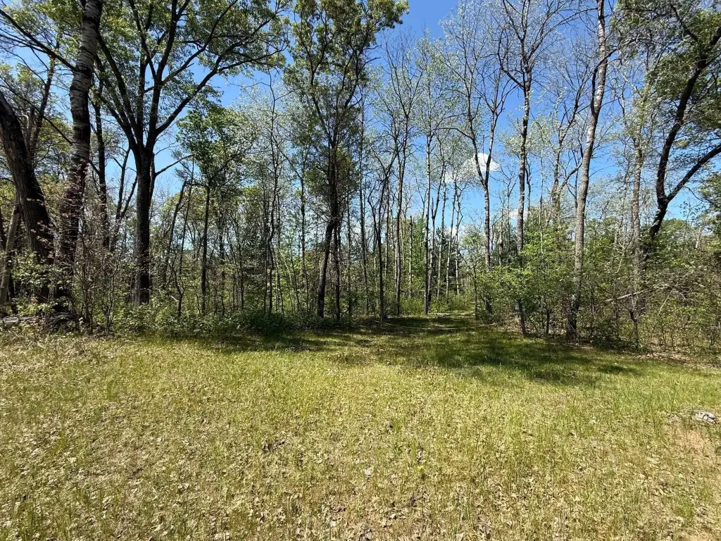 Picture 4