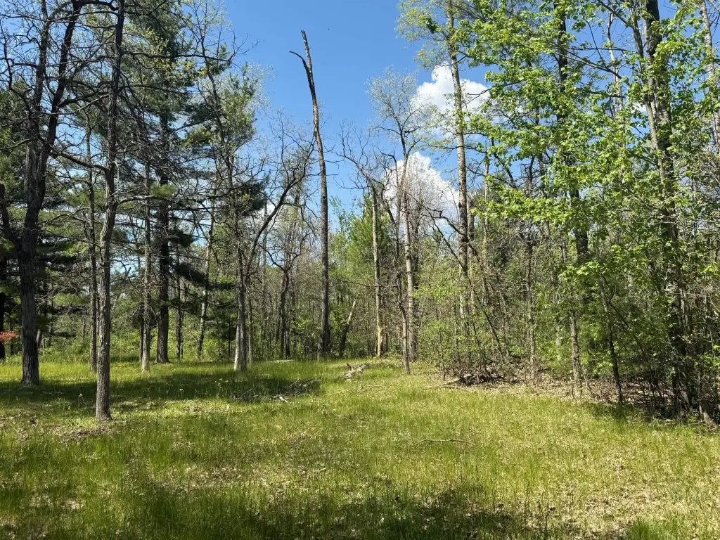Picture 41