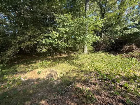 Residential Land in Jasper, Alabama