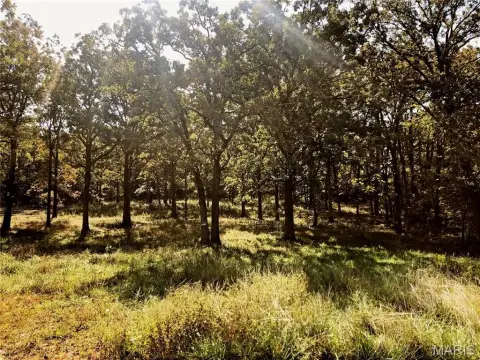 Rolla Land Development Opportunity