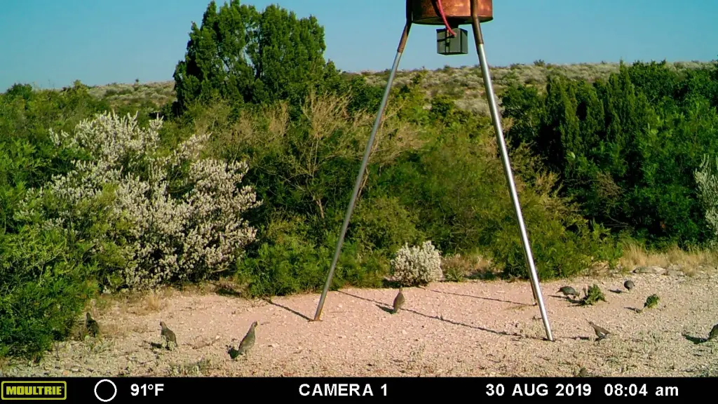 Picture 17