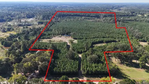 East Texas Acreage Near Lake