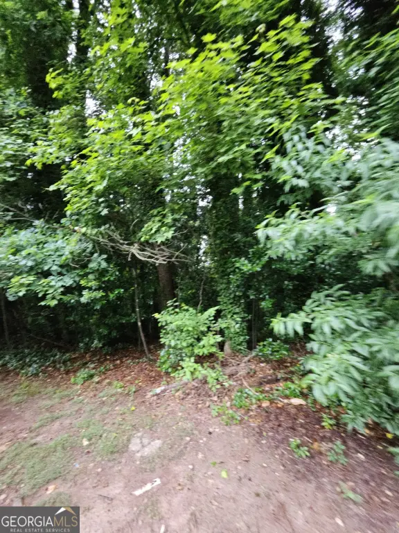 Picture 2
