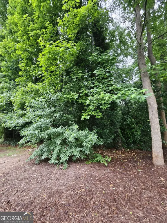 Picture 3
