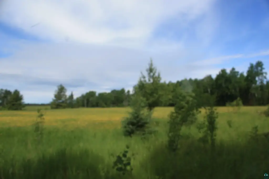 Picture 42