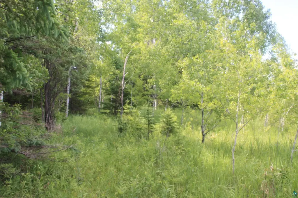 Picture 44