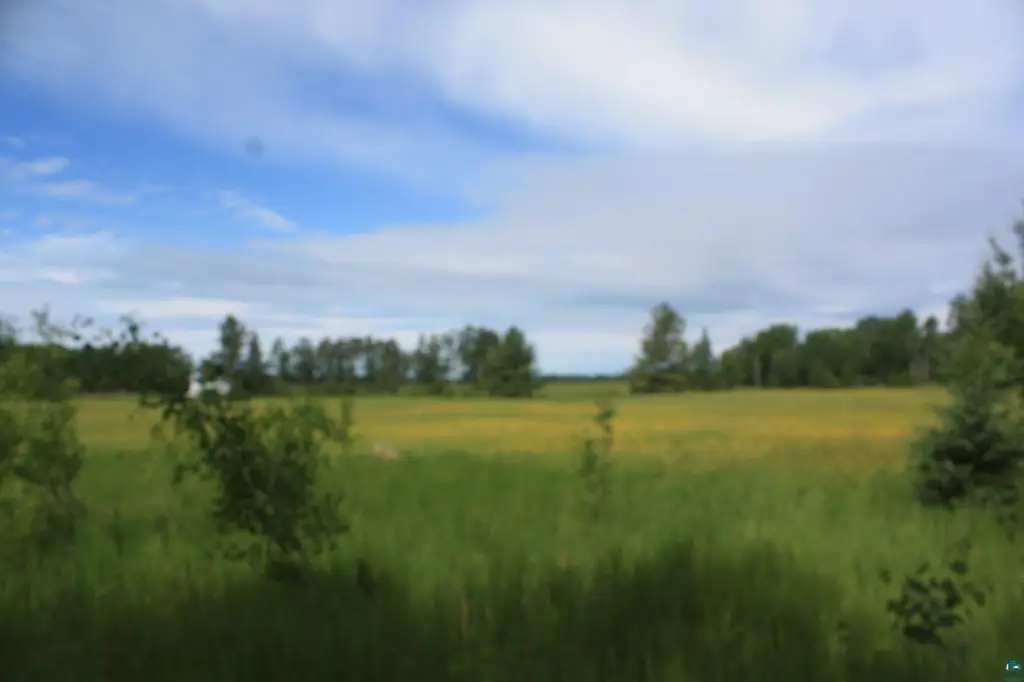 Picture 41
