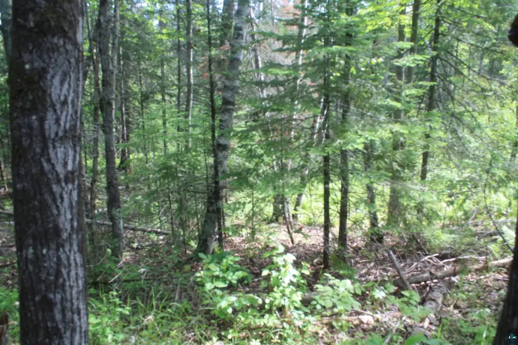 Picture 32