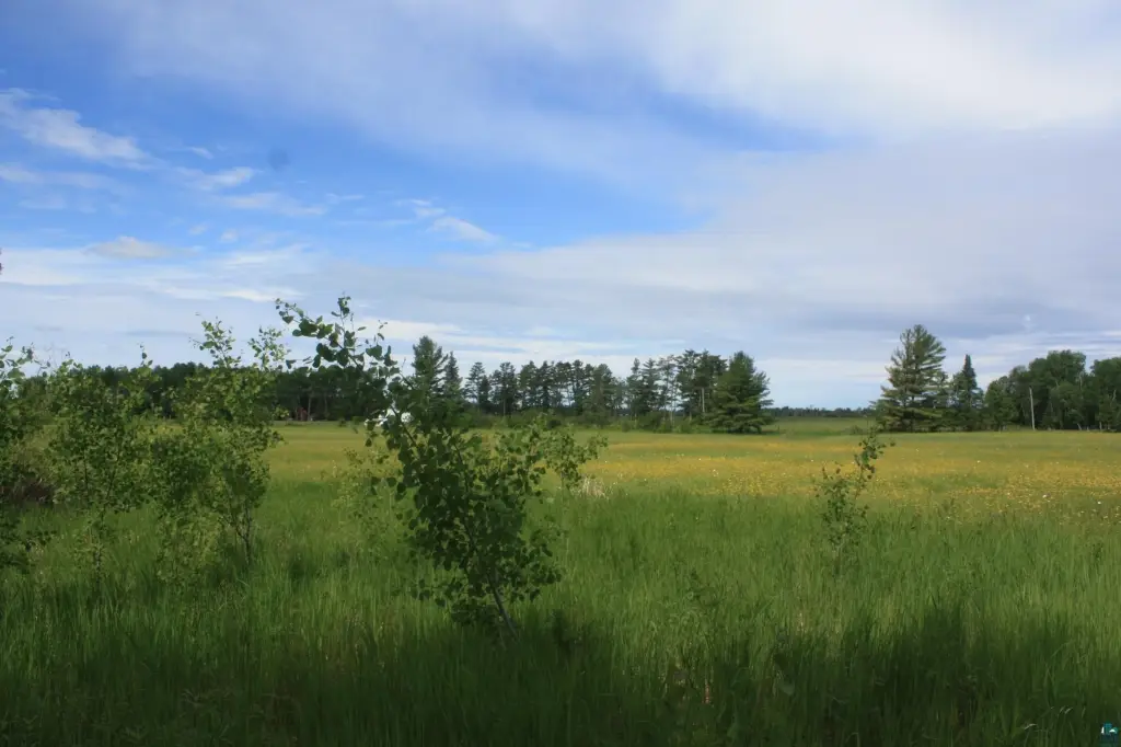 Picture 45