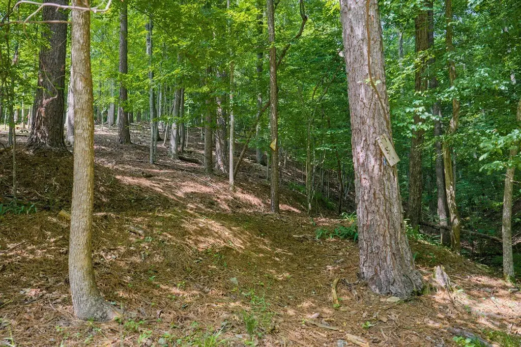 Picture 22