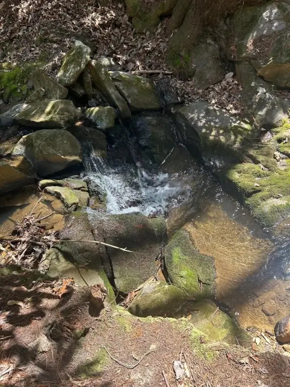 Picture 16