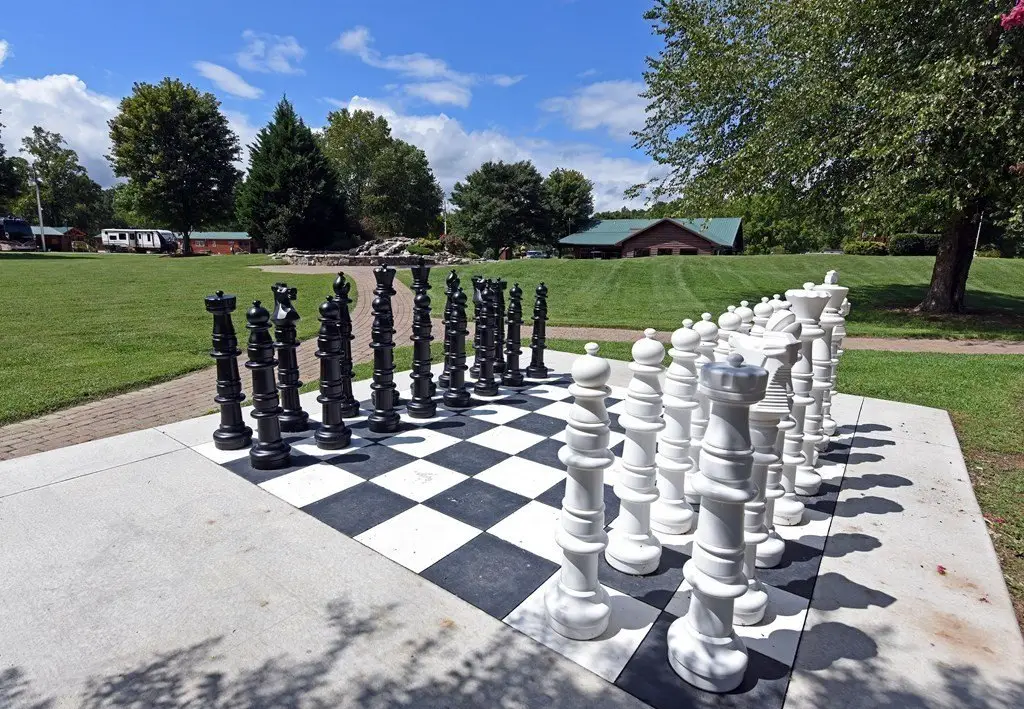 Picture 21